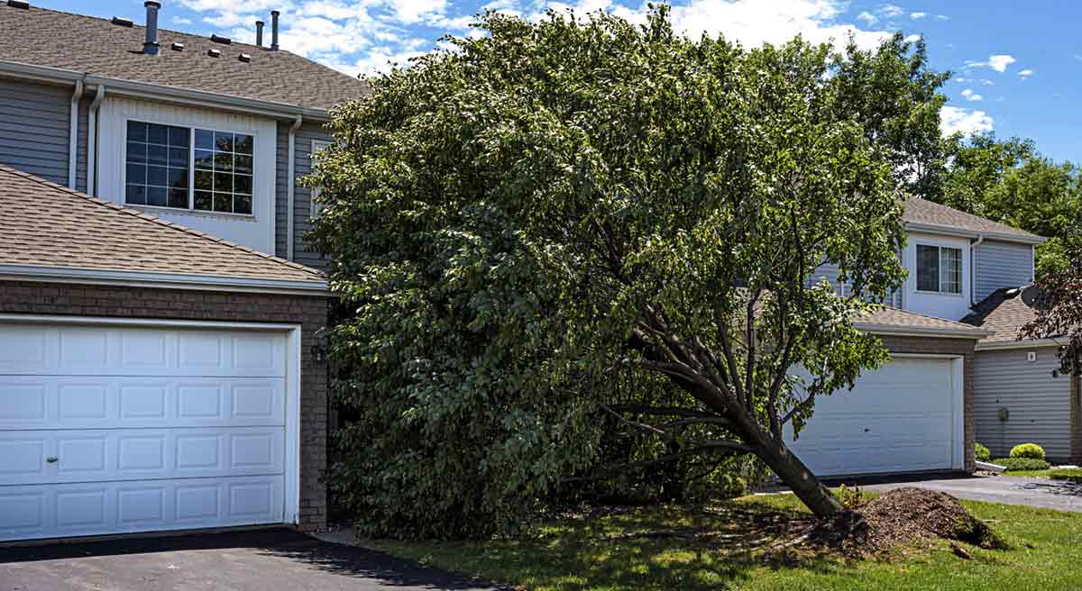 Tree Falls On House Due To Storm Damage